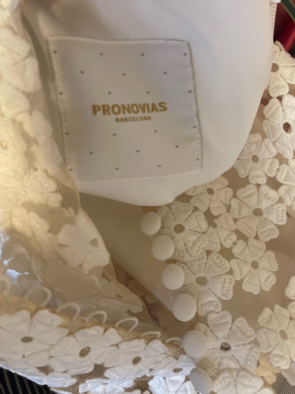 Pronovias Manon Wedding Dress Size 12 – Floral Back, V-Neck, Train - Picture 5 of 16